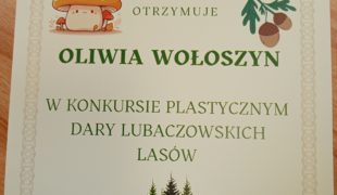Więcej o: „Dary lubaczowskich lasów” – konkurs plastyczny organizowany przez Nadleśnictwo Lubaczów